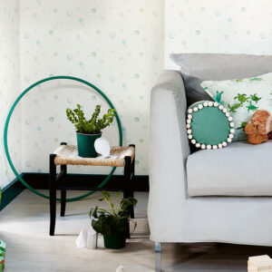 Frann Preston-Gannon