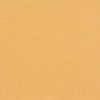 Mustard 2494/10