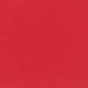 Tomato 2494/181