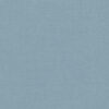 Steel Blue 2494/206