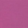 Boysenberry 2494/283