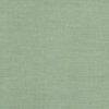 Dill 2494/469