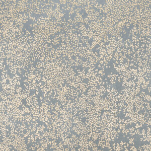 Nyiri Wallcovering
