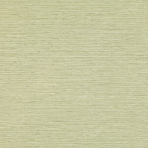 Chandbali Wide Wallcovering